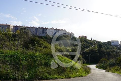 Helårsgrund i Coimbra, Coimbra, Coimbra - € 130.000 | Ref: cbr3298 - foto 8
