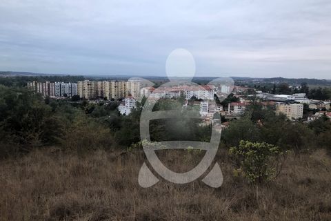 Helårsgrund i Coimbra, Coimbra, Coimbra - € 130.000 | Ref: cbr3298 - foto 9