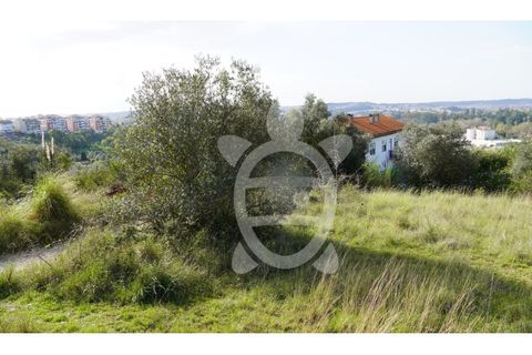 Helårsgrund i Coimbra, Coimbra, Coimbra - € 130.000 | Ref: cbr3298 - foto 11