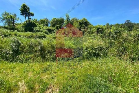 Helårsgrund i Vila Verde, Braga, Vila Verde - € 32.000 | Ref: 08640 - foto 7