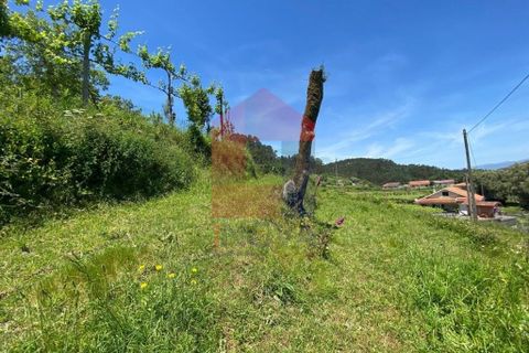 Helårsgrund i Vila Verde, Braga, Vila Verde - € 32.000 | Ref: 08640 - foto 21