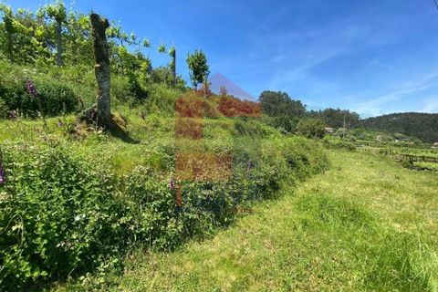 Helårsgrund i Vila Verde, Braga, Vila Verde - € 32.000 | Ref: 08640 - foto 23