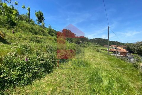 Helårsgrund i Vila Verde, Braga, Vila Verde - € 32.000 | Ref: 08640 - foto 24