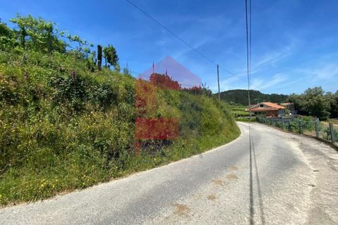 Helårsgrund i Vila Verde, Braga, Vila Verde - € 32.000 | Ref: 08640 - foto 32