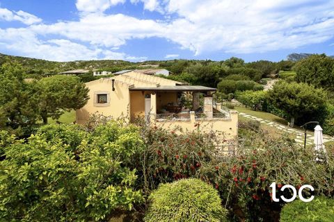 Villa i San Teodoro, Sassari, San Teodoro - € 700.000 | Ref: PM1138 - foto 26