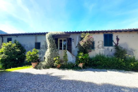 Villa i Lucca, Lucca, Lucca - € 620.000 | Ref: A3336 - foto 3