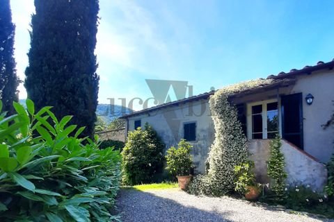 Villa i Lucca, Lucca, Lucca - € 620.000 | Ref: A3336 - foto 5