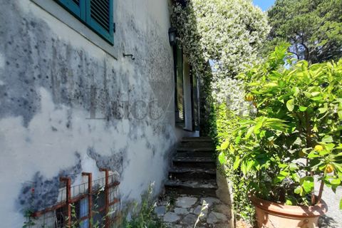 Villa i Lucca, Lucca, Lucca - € 620.000 | Ref: A3336 - foto 10