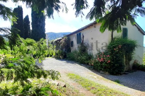 Villa i Lucca, Lucca, Lucca - € 620.000 | Ref: A3336 - foto 19