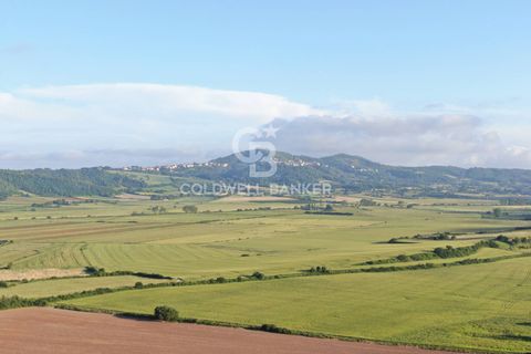 Helårsgrund i Latera, Viterbo, Latera - € 1.080.000 | Ref: CBI105-1176-411 - foto 2