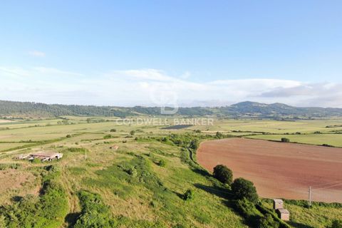 Helårsgrund i Latera, Viterbo, Latera - € 1.080.000 | Ref: CBI105-1176-411 - foto 3