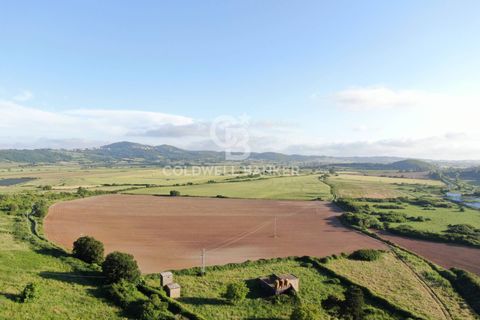 Helårsgrund i Latera, Viterbo, Latera - € 1.080.000 | Ref: CBI105-1176-411 - foto 4