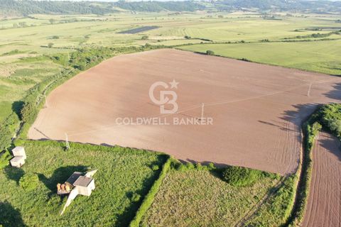 Helårsgrund i Latera, Viterbo, Latera - € 1.080.000 | Ref: CBI105-1176-411 - foto 5