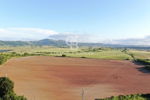 Helårsgrund i Latera, Viterbo, Latera - € 1.080.000 | Ref: CBI105-1176-411 - foto 8