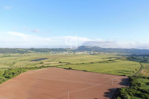 Helårsgrund i Latera, Viterbo, Latera - € 1.080.000 | Ref: CBI105-1176-411 - foto 9