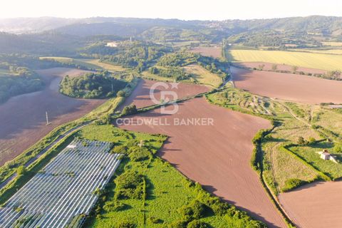 Helårsgrund i Latera, Viterbo, Latera - € 1.080.000 | Ref: CBI105-1176-411 - foto 10