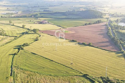 Helårsgrund i Latera, Viterbo, Latera - € 1.080.000 | Ref: CBI105-1176-411 - foto 15