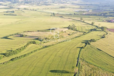 Helårsgrund i Latera, Viterbo, Latera - € 1.080.000 | Ref: CBI105-1176-411 - foto 16