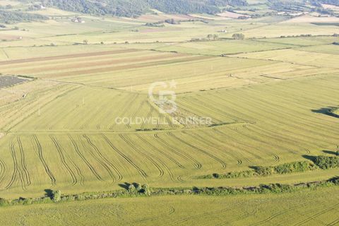 Helårsgrund i Latera, Viterbo, Latera - € 1.080.000 | Ref: CBI105-1176-411 - foto 17