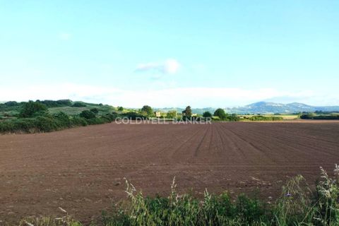 Helårsgrund i Latera, Viterbo, Latera - € 1.080.000 | Ref: CBI105-1176-411 - foto 22