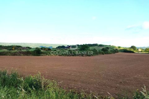 Helårsgrund i Latera, Viterbo, Latera - € 1.080.000 | Ref: CBI105-1176-411 - foto 23