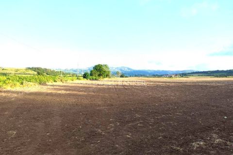 Helårsgrund i Latera, Viterbo, Latera - € 1.080.000 | Ref: CBI105-1176-411 - foto 24