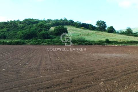 Helårsgrund i Latera, Viterbo, Latera - € 1.080.000 | Ref: CBI105-1176-411 - foto 28