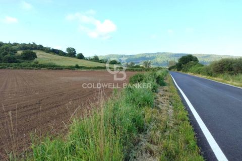 Helårsgrund i Latera, Viterbo, Latera - € 1.080.000 | Ref: CBI105-1176-411 - foto 29