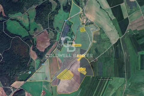 Helårsgrund i Latera, Viterbo, Latera - € 1.080.000 | Ref: CBI105-1176-411 - foto 30