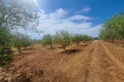 Helårsgrund i Paderne, Faro, Paderne - € 48.000 | Ref: 1136-64 - foto 4