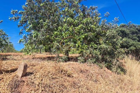 Helårsgrund i Paderne, Faro, Paderne - € 48.000 | Ref: 1136-64 - foto 9