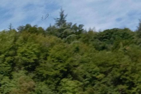 Villa i Garessio, Cuneo, Garessio - € 60.000 | Ref: 941 - foto 3