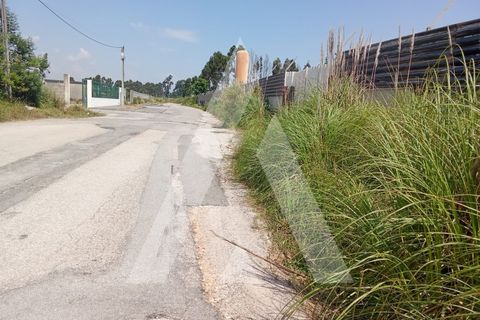 Helårsgrund i Aveiro, Aveiro, Aveiro - € 176.000 | Ref: 1030737/23 BL - foto 5