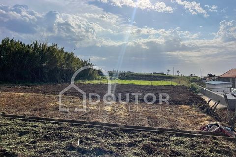 Villa i Ponta do Pargo, Madeira, Ponta do Pargo - € 125.000 | Ref: DR459 - foto 6