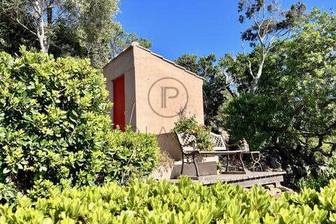 Villa i Ile du Levant, Var, Ile du Levant - € 1.510.000 | Ref: 85978014 - foto 30