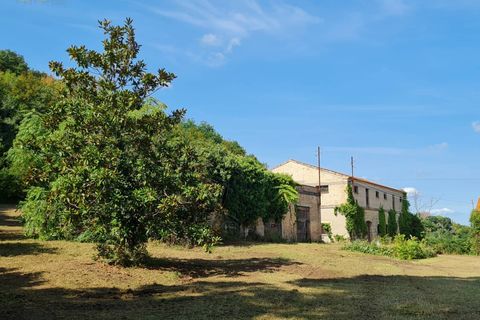 Landejendom i Ripatransone, Ascoli Piceno, Ripatransone - € 690.000 | Ref: 32478 - foto 7