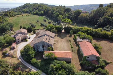 Landejendom i Ripatransone, Ascoli Piceno, Ripatransone - € 690.000 | Ref: 32478 - foto 17