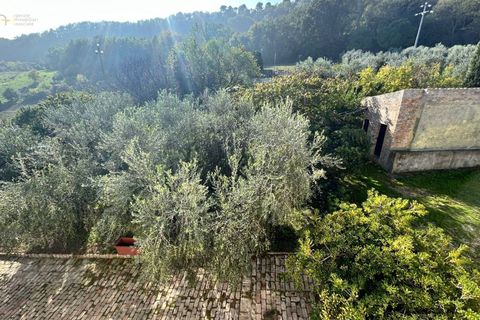 Landejendom i Ripatransone, Ascoli Piceno, Ripatransone - € 295.000 | Ref: 33150 - foto 17