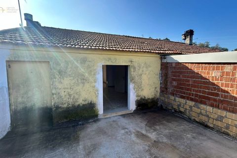 Landejendom i Ripatransone, Ascoli Piceno, Ripatransone - € 295.000 | Ref: 33150 - foto 20