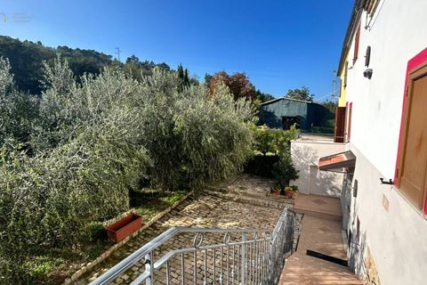 Landejendom i Ripatransone, Ascoli Piceno, Ripatransone - € 295.000 | Ref: 33150 - foto 41
