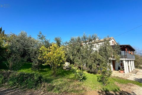 Landejendom i Ripatransone, Ascoli Piceno, Ripatransone - € 295.000 | Ref: 33150 - foto 48