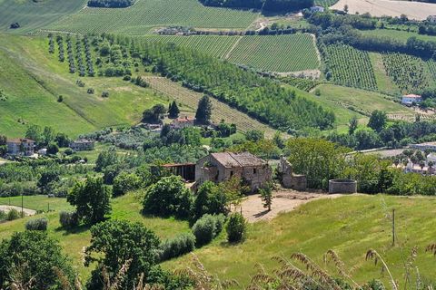 Landejendom i Ripatransone, Ascoli Piceno, Ripatransone - € 145.000 | Ref: 33460 - foto 9