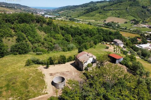 Landejendom i Ripatransone, Ascoli Piceno, Ripatransone - € 145.000 | Ref: 33460 - foto 29