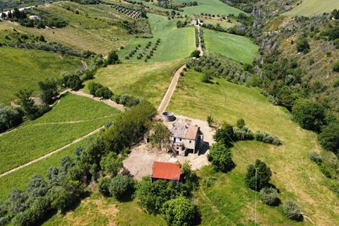Landejendom i Ripatransone, Ascoli Piceno, Ripatransone - € 145.000 | Ref: 33460 - foto 34