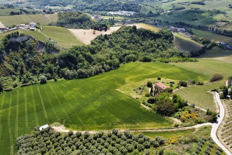 Helårsgrund i Ripatransone, Ascoli Piceno, Ripatransone - € 249.000 | Ref: 33465 - foto 4