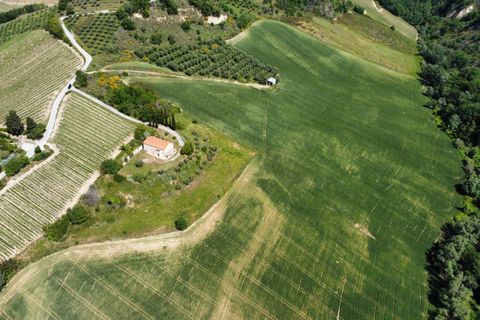 Helårsgrund i Ripatransone, Ascoli Piceno, Ripatransone - € 249.000 | Ref: 33465 - foto 7