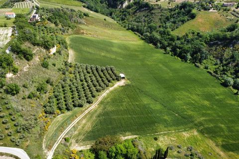 Helårsgrund i Ripatransone, Ascoli Piceno, Ripatransone - € 249.000 | Ref: 33465 - foto 8