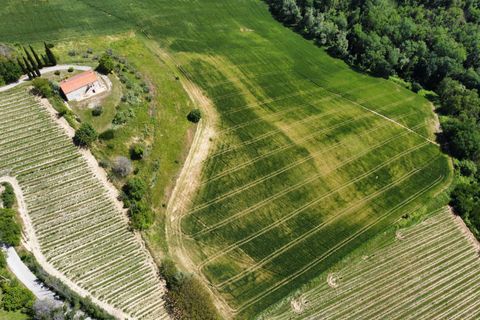Helårsgrund i Ripatransone, Ascoli Piceno, Ripatransone - € 249.000 | Ref: 33465 - foto 10