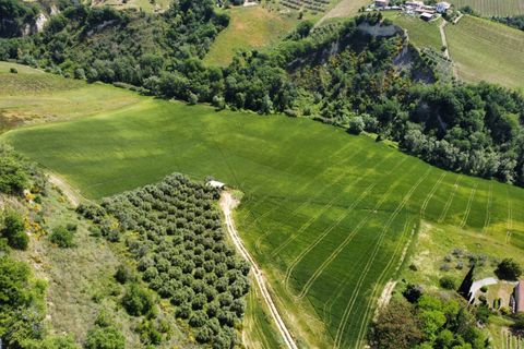Helårsgrund i Ripatransone, Ascoli Piceno, Ripatransone - € 249.000 | Ref: 33465 - foto 11