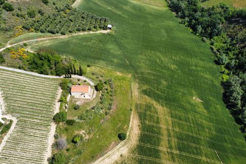 Helårsgrund i Ripatransone, Ascoli Piceno, Ripatransone - € 249.000 | Ref: 33465 - foto 12